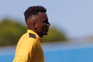 Andrew Ventura, Liga Portekiz maçı sırasında Estoril Praia ve Gil Vicente FC takımları arasında Estadio Antonio Coimbra da Mota 'da görüldü.