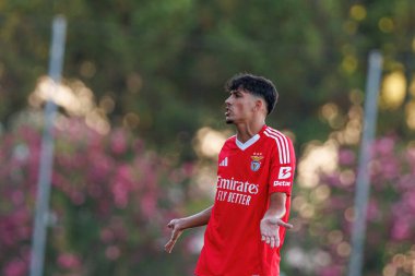 Joao Veloso Liga Portekiz 2 maçında Benfica B ve SCU Torreense takımları arasında Benfica Kampüsü 'nde görüldü.