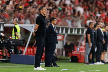 Roger Schmidt, Liga Portekiz maçı sırasında Estadio Da Luz 'da SL Benfica ve CF Estrela Amadora (Maciej Rogowski)