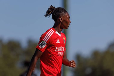 Olivio Tome, Liga Revelacao maçında Estadio Aurelio Pereira 'da Sporting CP ve SL Benfica takımları arasında görüldü.