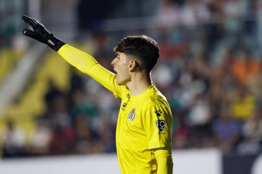 Tome Sousa, Liga Portekiz maçı sırasında Estrela Amadora ve Boavista FC takımları arasında Estadio Jose Gomes 'de (Maciej Rogowski)