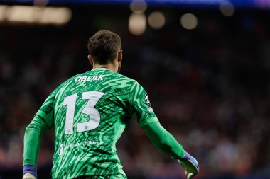 Jan Oblak UEFA Şampiyonlar Ligi maçında Atletico de Madrid ve Red Bull Leipzig (Maciej Rogowski) takımları arasında görüldü.)