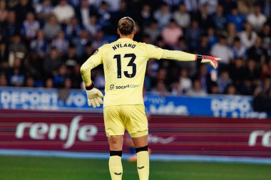 Orjan Nyland, Estadio Mendizorroza 'da Deportivo Alaves ve Sevilla FC takımları arasında oynanan LaLiga EA SPORTS maçı sırasında görüldü (Maciej Rogowski)