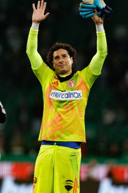 Guillermo Ochoa, Liga Portekiz maçı sırasında Estadio Jose Alvalade 'deki AVS Futebol SAD (Maciej Rogowski)
