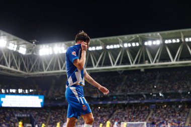 LaLiga EASPORTS maçı sırasında RCD Espanyol de Barcelona ve Villarreal CF takımları arasında RCDE Stadyumu 'nda (Maciej Rogowski)