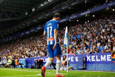 LaLiga EASPORTS maçı sırasında RCD Espanyol de Barcelona ve Villarreal CF takımları arasında RCDE Stadyumu 'nda (Maciej Rogowski)