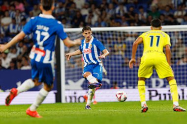 LaLiga EASPORTS maçı sırasında RCD Espanyol de Barcelona ve Villarreal CF takımları arasında RCDE Stadyumu 'nda (Maciej Rogowski)