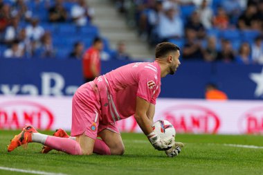 Joan Garcia, LaLiga EASPORTS maçı sırasında RCD Espanyol de Barcelona ve Villarreal CF takımları arasında RCDE Stadyumu 'nda (Maciej Rogowski)