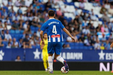 LaLiga EASPORTS maçı sırasında RCD Espanyol de Barcelona ve Villarreal CF takımları arasında RCDE Stadyumu 'nda (Maciej Rogowski)