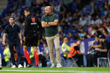 LaLiga EASPORTS maçı sırasında RCD Espanyol de Barcelona ve Villarreal CF takımları arasında RCDE Stadyumu 'nda (Maciej Rogowski)