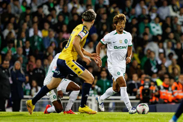 Hidemasa Morita, Liga Portekiz maçı sırasında Estoril Praia ile Estadio Antonio Coimbra da Mota 'daki Sporting CP takımları arasında görüldü (Maciej Rogowski)