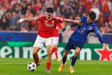 Zeki Amdouni, Jose Maria Gimenez UEFA Şampiyonlar Ligi maçında SL Benfica ve Atletico de Madrid (Maciej Rogowski)
