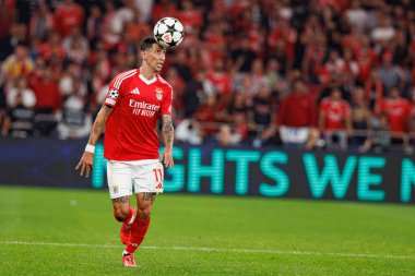 Angel Di Maria UEFA Şampiyonlar Ligi maçında SL Benfica ve Atletico de Madrid (Maciej Rogowski)