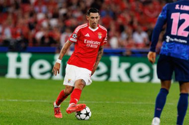 Angel Di Maria UEFA Şampiyonlar Ligi maçında SL Benfica ve Atletico de Madrid (Maciej Rogowski)