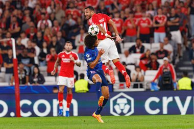 Axel Witsel, Vangelis Pavlidis UEFA Şampiyonlar Ligi maçında SL Benfica ve Atletico de Madrid (Maciej Rogowski) takımları arasında görüldü.)