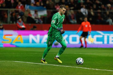 Dominik Livakoviç, Polonya ve Hırvatistan milli takımları arasında PGE Narodowy 'de oynanan UEFA Uluslar Ligi maçında görüldü (Maciej Rogowski)