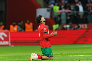 Samuel Costa, UEFA Uluslar Ligi maçında Polonya ve Portekiz milli takımları arasında PGE Narodowy 'da görüldü (Maciej Rogowski)