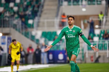 Leonardo Rocha, Stadyum 'daki Radomiak Radom ve Puszcza Niepolomice takımları arasında oynanan PKO BP Ekstraklasa maçında gol attıktan sonra kutlama yaparken görüldü. Braci Czachorow (Maciej Rogowski)