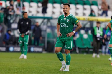 Joao Peglow, PKO BP Ekstraklasa maçında Radomiak Radom ve Rakow Czestochowa takımları arasında Stadion Miejski im 'de görüldü. Braci Czachorow (Maciej Rogowski)