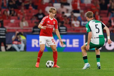 Andreas Schjelderup, UEFA Şampiyonlar Ligi maçında SL Benfica ve Feyenoord (Maciej Rogowski) takımları arasında görüldü.)