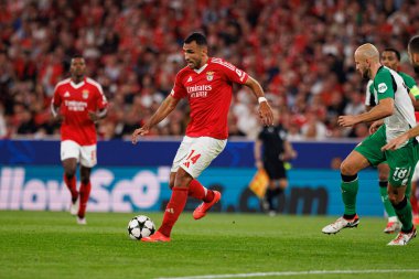 Vangelis Pavlidis UEFA Şampiyonlar Ligi maçında SL Benfica ve Feyenoord (Maciej Rogowski) takımları arasında görüldü.)