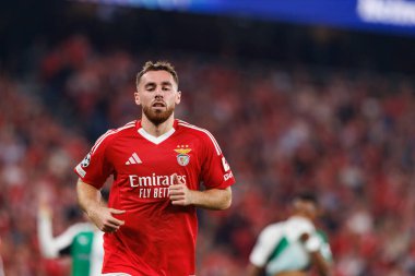 SL Benfica ve Feyenoord (Maciej Rogowski) takımları arasında oynanan UEFA Şampiyonlar Ligi maçında Orkun Kokcu görüldü)
