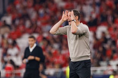 Brian Prisk UEFA Şampiyonlar Ligi maçında SL Benfica ve Feyenoord (Maciej Rogowski) takımları arasında görüldü)