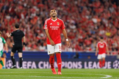 Vangelis Pavlidis UEFA Şampiyonlar Ligi maçında SL Benfica ve Feyenoord (Maciej Rogowski) takımları arasında görüldü.)