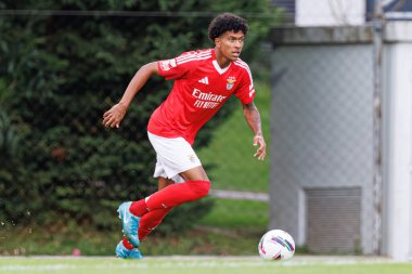 Joshua Wynder, Liga Portekiz 2 maçında Benfica B ve CD Tondela takımları arasında Benfica Kampüsü 'nde görüldü (Maciej Rogowski)