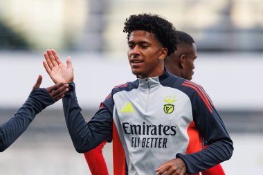 Joshua Wynder, Liga Portekiz 2 maçında Benfica B ve CD Tondela takımları arasında Benfica Kampüsü 'nde görüldü (Maciej Rogowski)