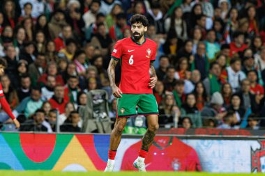 Portekiz ve Polonya milli takımları arasında Estadio do Dragao 'da oynanan UEFA Uluslar Ligi maçında görülen Samu (Maciej Rogowski)