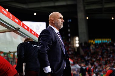 Michal Probierz, UEFA Uluslar Ligi maçında Portekiz ve Polonya milli takımları arasında Estadio do Dragao 'da görüldü (Maciej Rogowski)