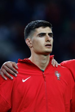 Antonio Silva, UEFA Uluslar Ligi maçında Portekiz ve Polonya milli takımları arasında Estadio do Dragao 'da görüldü (Maciej Rogowski)