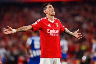 Angel Di Maria, Liga Portekiz maçında SL Benfica ve FC Porto takımları arasında Estadio Da Luz 'da gol attıktan sonra kutlama yaparken görüldü (Maciej Rogowski)