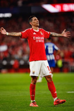 Angel Di Maria, Liga Portekiz maçında SL Benfica ve FC Porto takımları arasında Estadio Da Luz 'da gol attıktan sonra kutlama yaparken görüldü (Maciej Rogowski)
