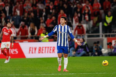 Pepe, Liga Portekiz maçı sırasında Estadio Da Luz 'da SL Benfica ve FC Porto takımları arasında görüldü (Maciej Rogowski)