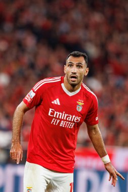 Liga Portekiz maçında Estadio Da Luz 'da SL Benfica ve FC Porto takımları arasında Vangelis Pavlidis görüldü (Maciej Rogowski)