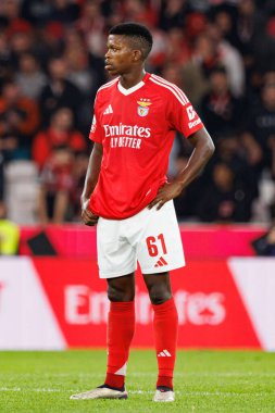 Florentino Luis, Liga Portekiz maçında SL Benfica ve FC Porto takımları arasında Estadio Da Luz 'da görüldü (Maciej Rogowski)