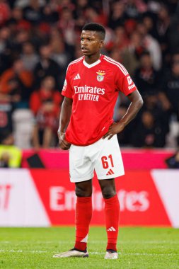 Florentino Luis, Liga Portekiz maçında SL Benfica ve FC Porto takımları arasında Estadio Da Luz 'da görüldü (Maciej Rogowski)