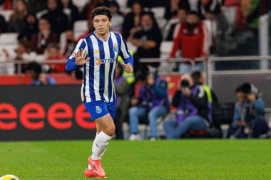 Pepe, Liga Portekiz maçı sırasında Estadio Da Luz 'da SL Benfica ve FC Porto takımları arasında görüldü (Maciej Rogowski)