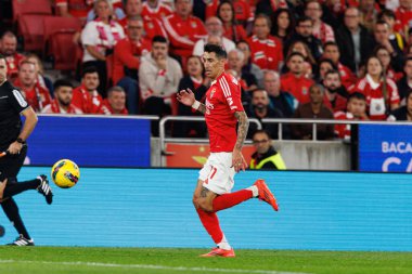 Estadio Da Luz 'daki SL Benfica ve FC Porto takımları arasında oynanan Liga Portekiz maçı sırasında görülen Angel Di Maria (Maciej Rogowski)
