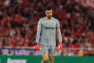 Diogo Costa, Liga Portekiz maçı sırasında Estadio Da Luz 'da SL Benfica ve FC Porto takımları arasında görüldü (Maciej Rogowski)
