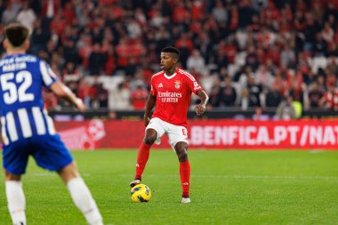 Florentino Luis, Liga Portekiz maçında SL Benfica ve FC Porto takımları arasında Estadio Da Luz 'da görüldü (Maciej Rogowski)