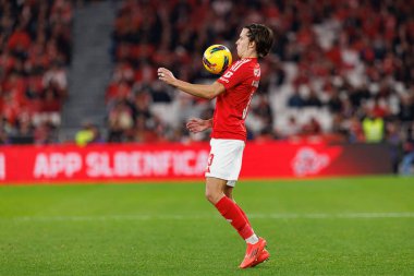 Alvaro Carreras, Liga Portekiz maçında SL Benfica ve FC Porto takımları arasında Estadio Da Luz 'da görüldü (Maciej Rogowski)
