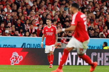 Estadio Da Luz 'daki SL Benfica ve FC Porto takımları arasında oynanan Liga Portekiz maçı sırasında görülen Angel Di Maria (Maciej Rogowski)