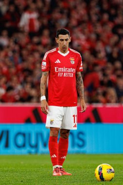 Estadio Da Luz 'daki SL Benfica ve FC Porto takımları arasında oynanan Liga Portekiz maçı sırasında görülen Angel Di Maria (Maciej Rogowski)