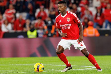 Florentino Luis, Liga Portekiz maçında SL Benfica ve FC Porto takımları arasında Estadio Da Luz 'da görüldü (Maciej Rogowski)