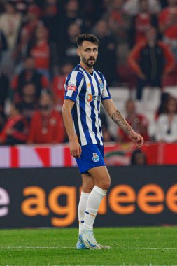 Liga Portekiz maçında SL Benfica ve FC Porto takımları arasında Estadio Da Luz 'da (Maciej Rogowski)
