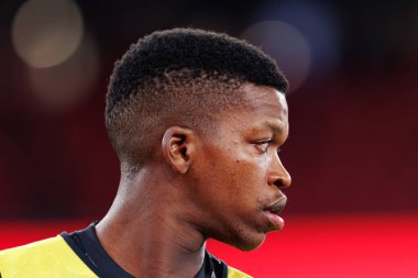 Florentino Luis, Liga Portekiz maçında SL Benfica ve FC Porto takımları arasında Estadio Da Luz 'da görüldü (Maciej Rogowski)