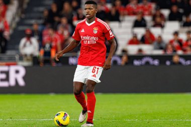 SL Benfica ve FC Porto takımları arasında Estadio Da Luz 'da (Maciej Rogowski)